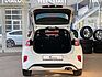 Ford Puma *1.0*ST-Line*Black-Paket*LED*WINTER*VIRTUAL*