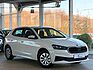 SKODA Fabia *1.0*Active*LED*SHZ*59kW*WHITE*WINTER*DAB+*